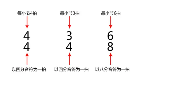 尤克里里自学必看 尤克里里节奏老是弹不好 看完这个你就好了 哔哩哔哩