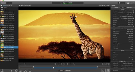 Sony Catalyst Production Suite 2023.2.1 instal the new version for android