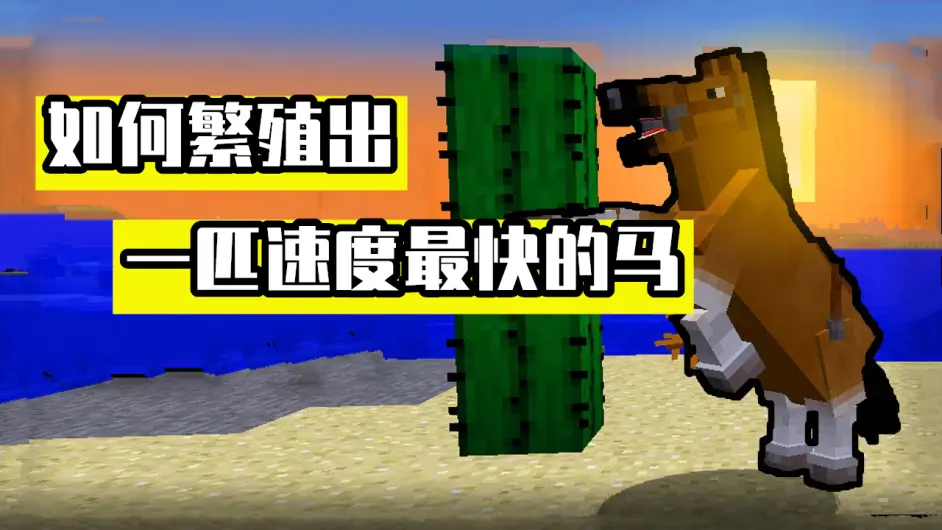 Minecraft 马的遗传基因学 如何繁殖出一匹 日行千里 的飞马 哔哩哔哩