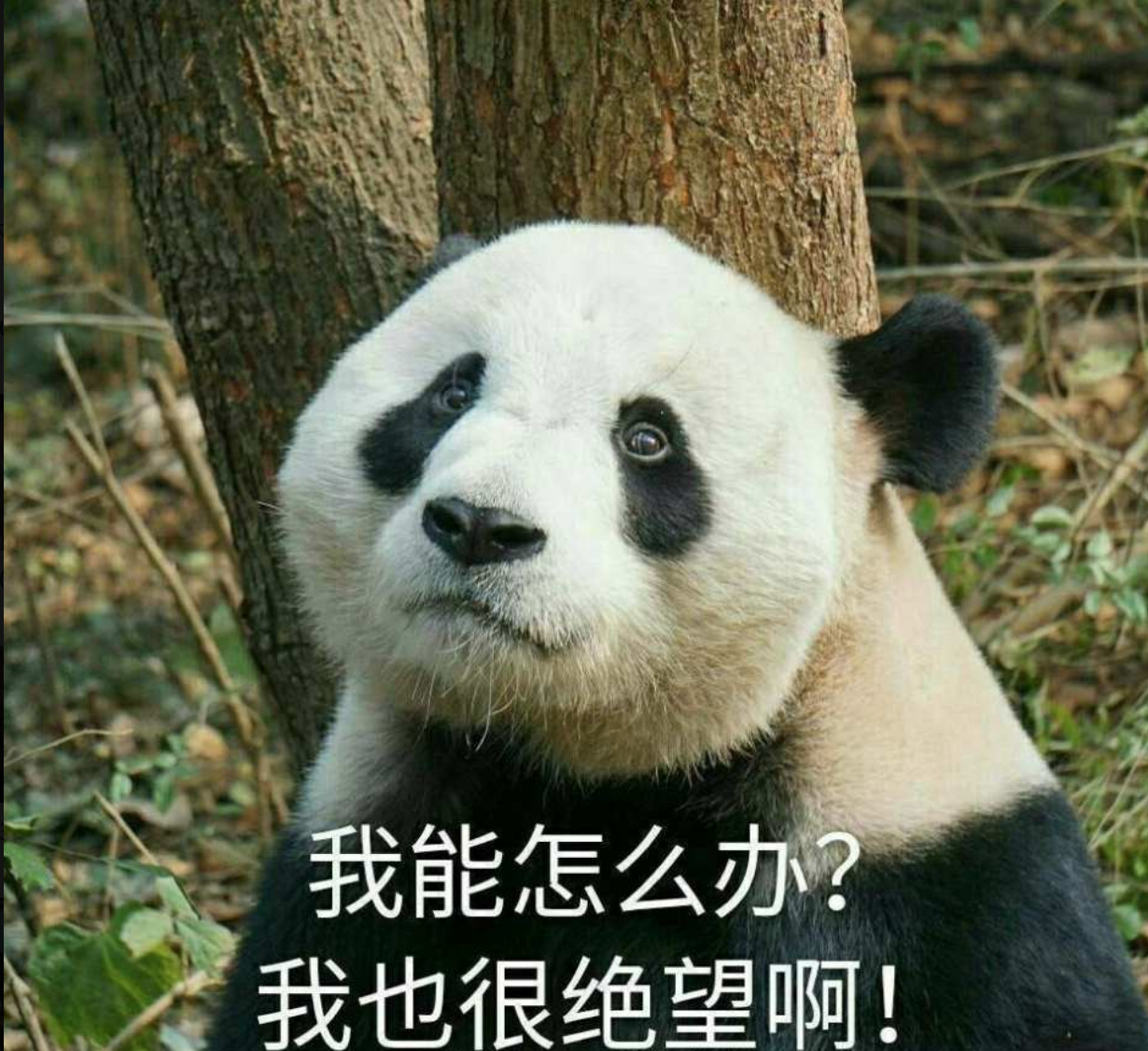 内心复杂 快要爆炸"你给我等着"——今日闲谈《内在美》第八集 吐槽up