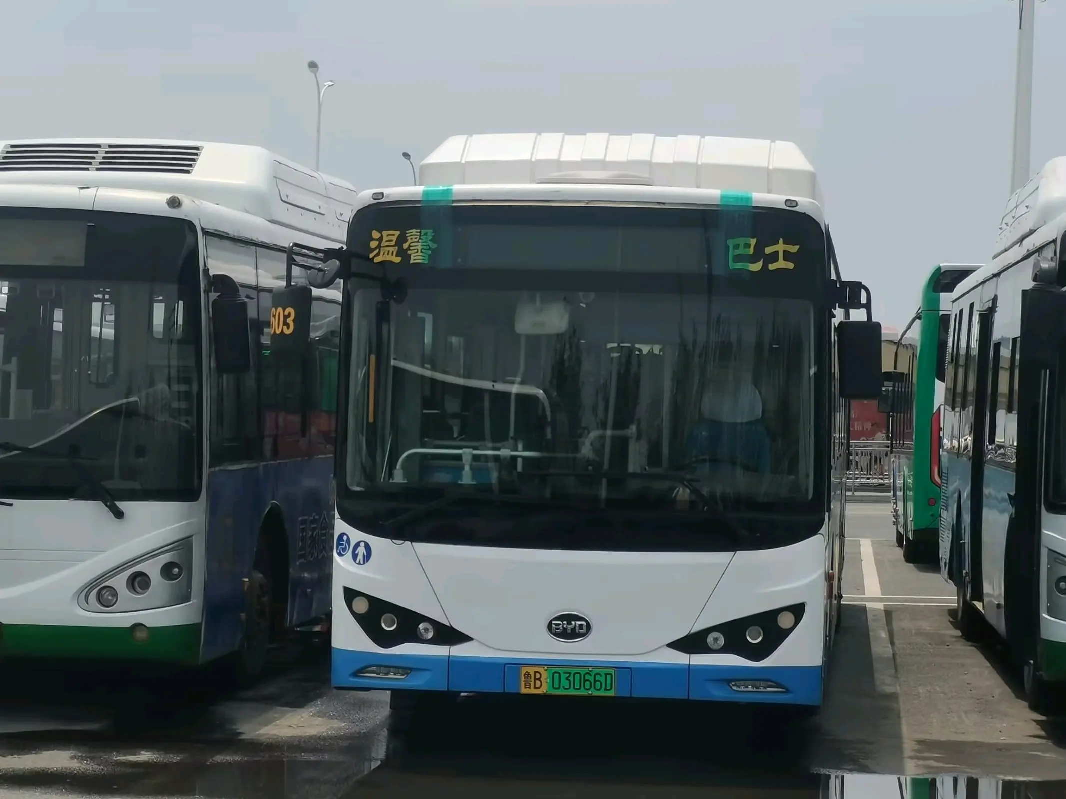 青岛公交603路线路简介