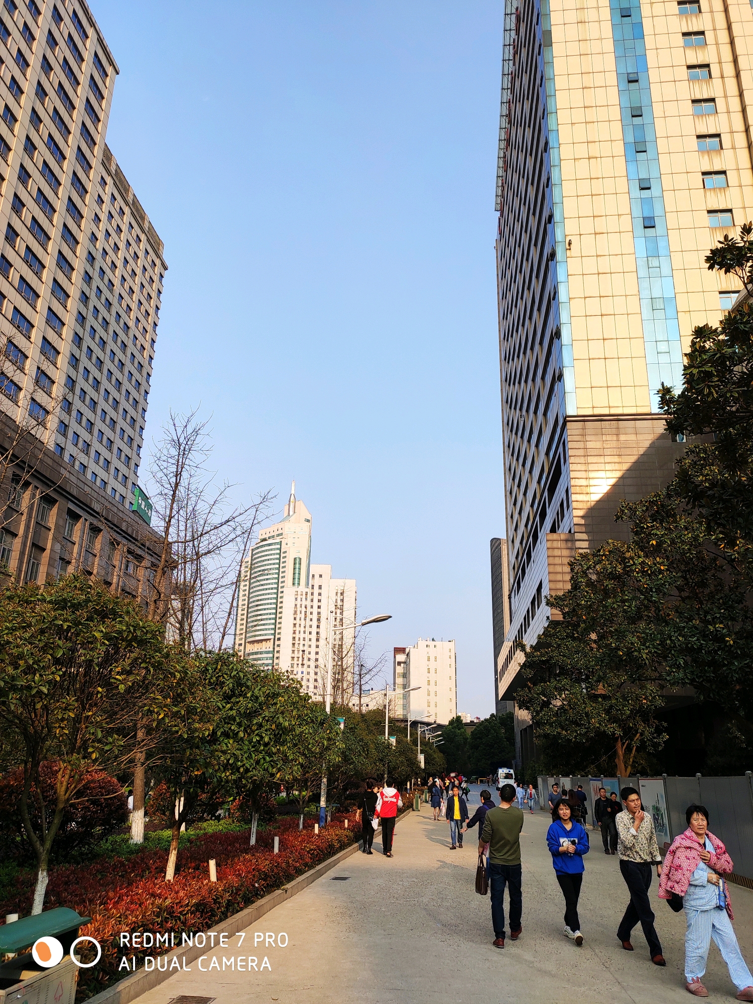 红米note7pro和荣耀V20拍照对比,