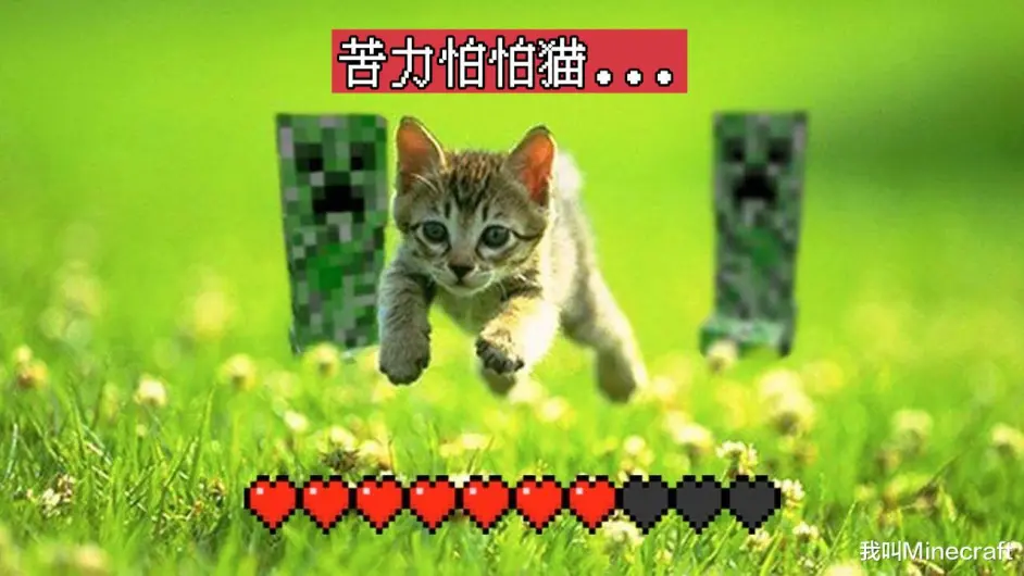 Minecraft将要加入更多的 狼 Mojang 我们也超想的 哔哩哔哩