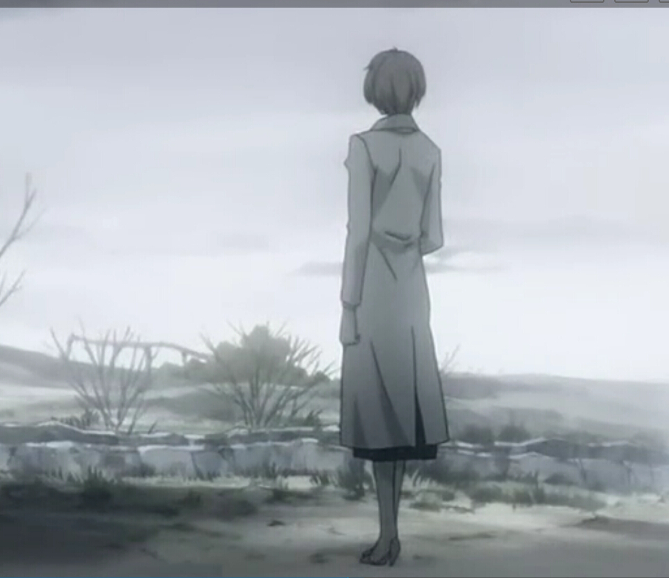 夏日补番大作战10《蜂蜜与四叶草》-青春不止