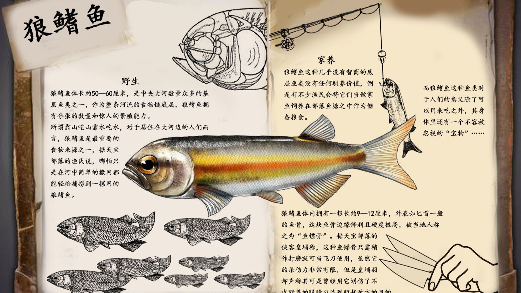 方舟自创生物 狼鳍鱼 哔哩哔哩