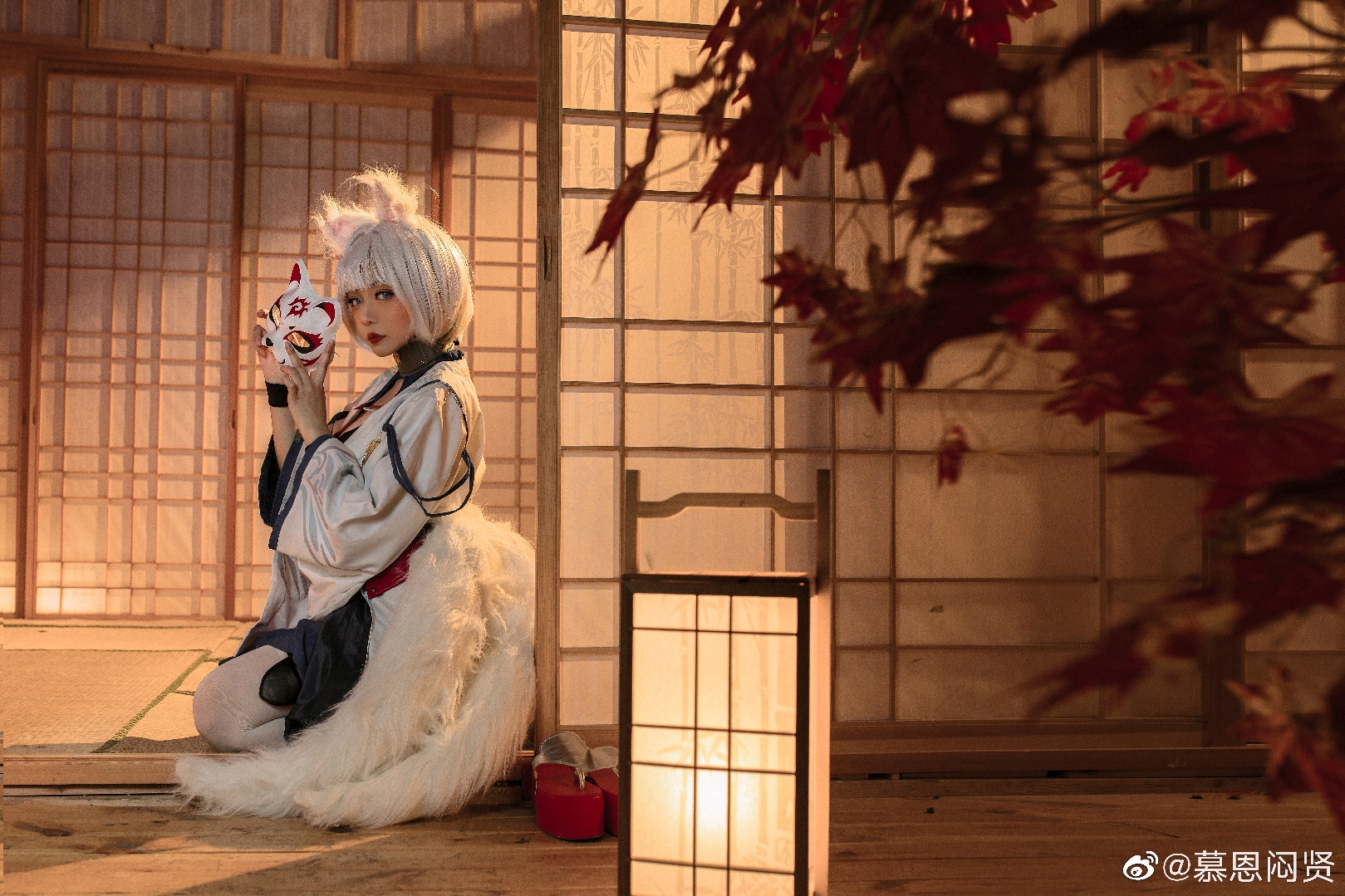 碧蓝航线赤城加贺