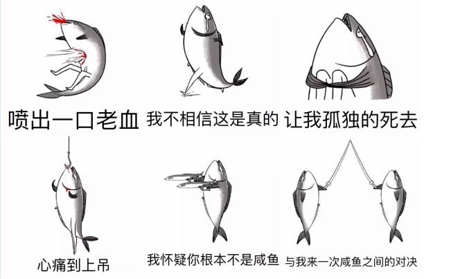 整一年,啥也没干,逐渐颓废【已然是条咸鱼】