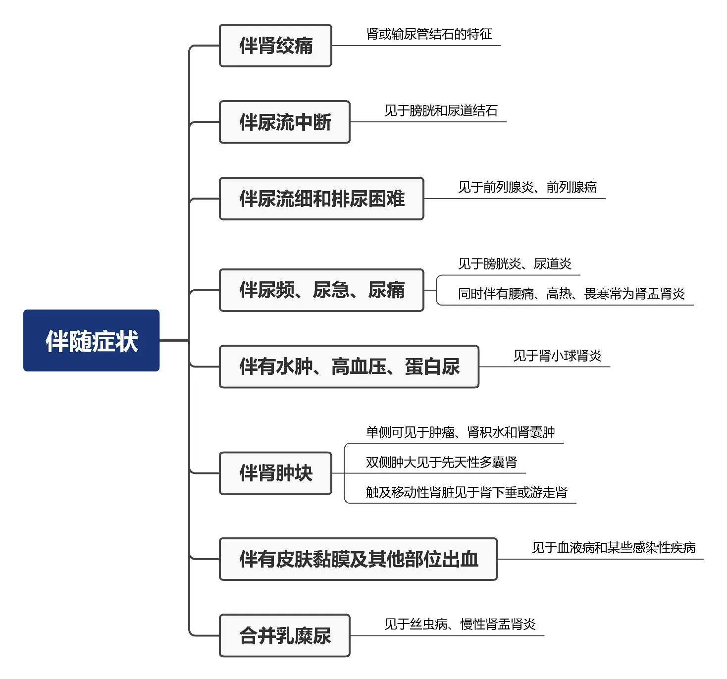 《诊断学症状篇:血尿》思维导图