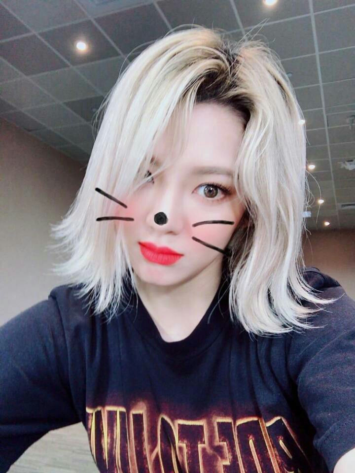 安利金孝渊欧尼