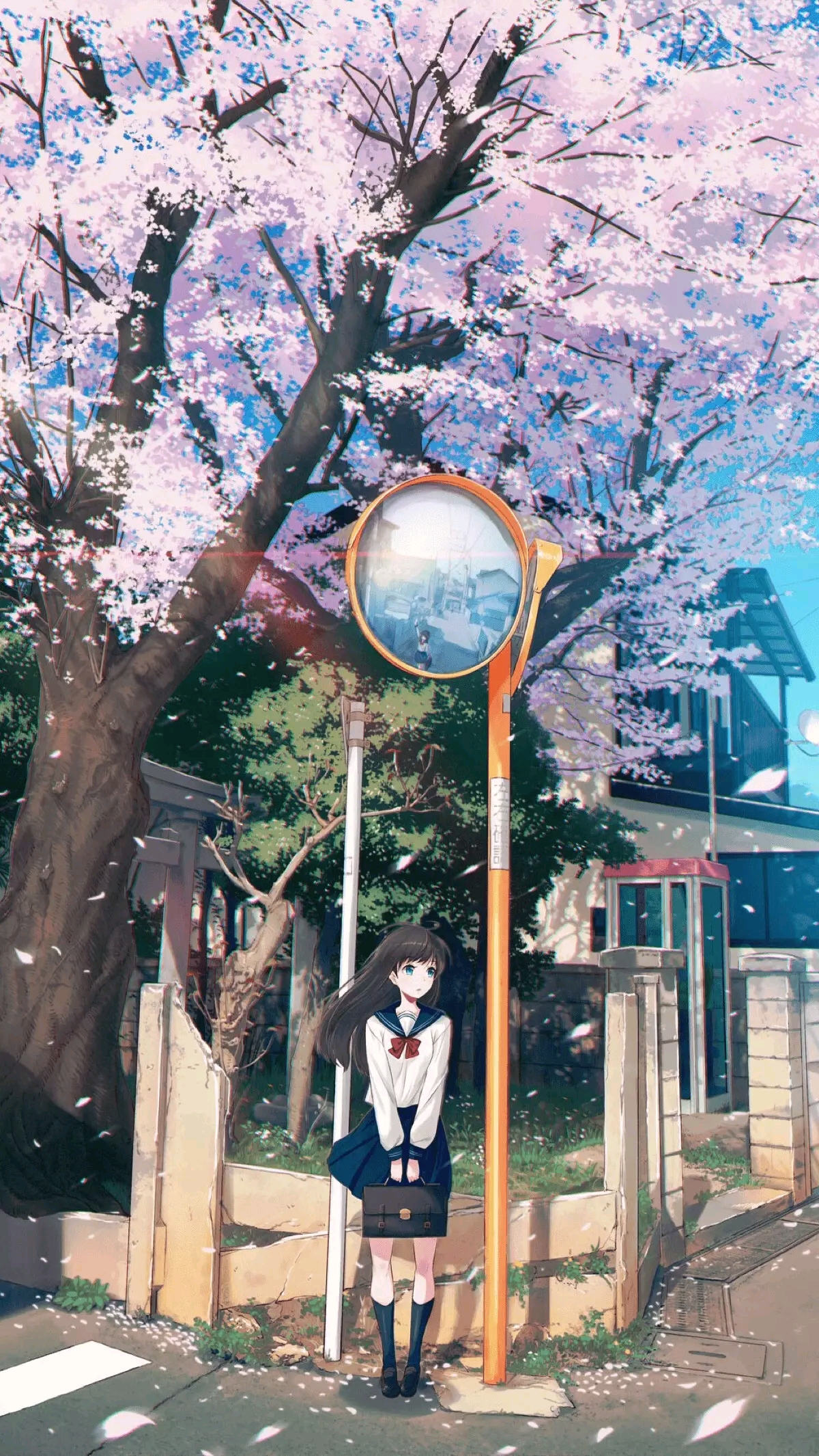 分享第十四期:樱花的美丽本期up主分享一期关于樱花主题的壁纸图片