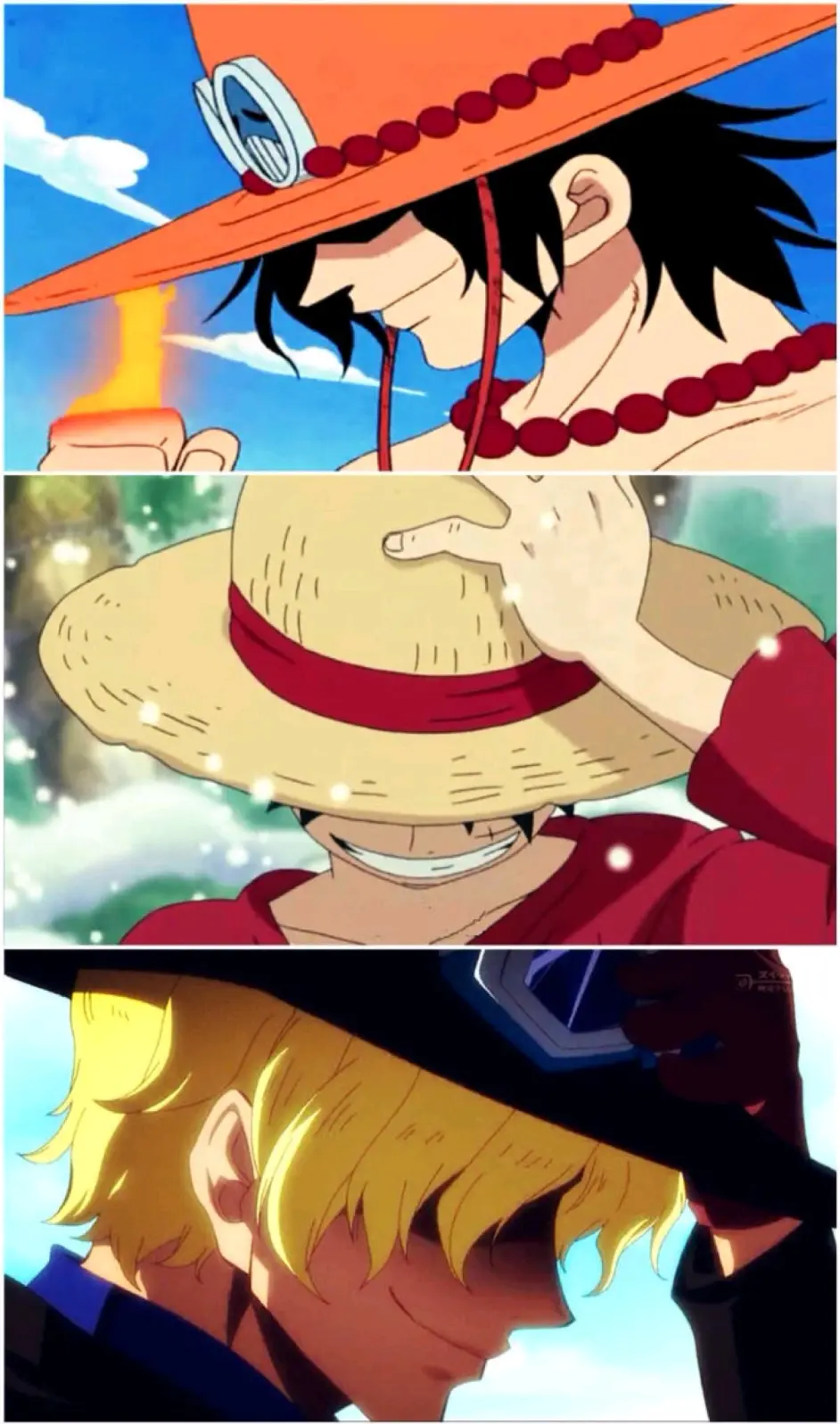 海贼王三兄弟的遗憾 哔哩哔哩