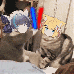 啾啾猫猫表情包花园serena第八期之偶像猫猫