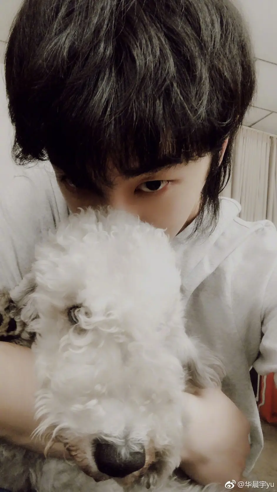 華晨宇 花火 小狗 哔哩哔哩