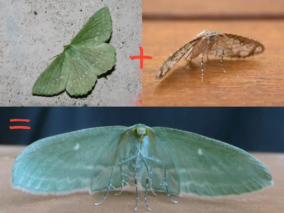 黄道带 十二星宿缀银河 哔哩哔哩