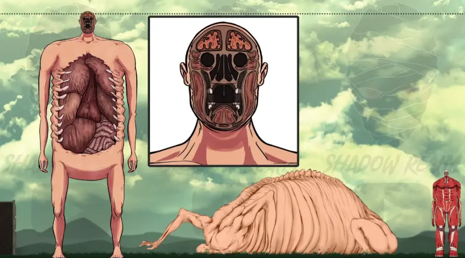 进击的巨人 9大巨人身高 240米始祖巨人不是最高 地鸣艾伦秒杀所有 哔哩哔哩