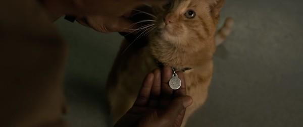 《惊奇队长》宠物猫有玄机!更改原著向这部片