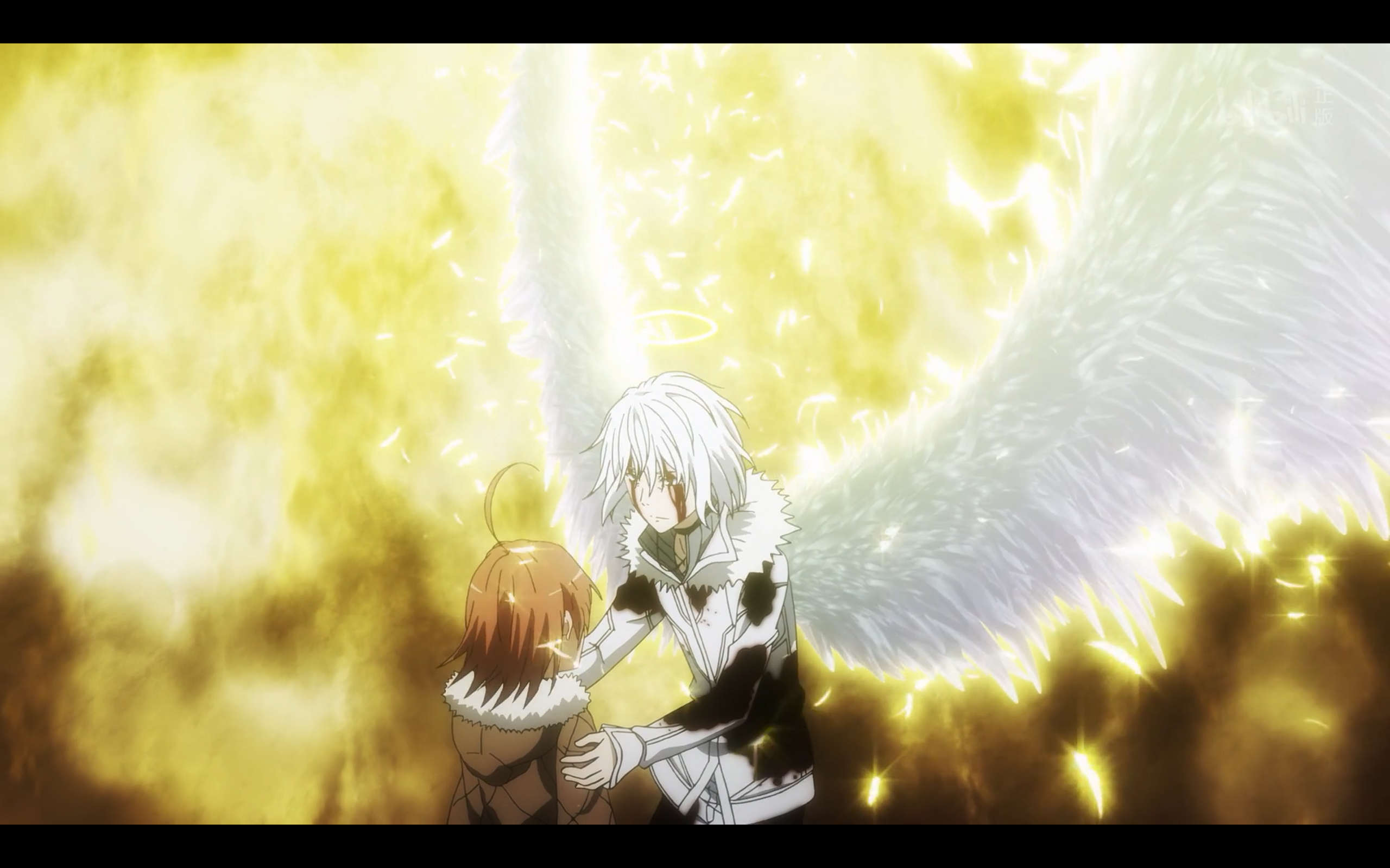 纯动画党观看指南