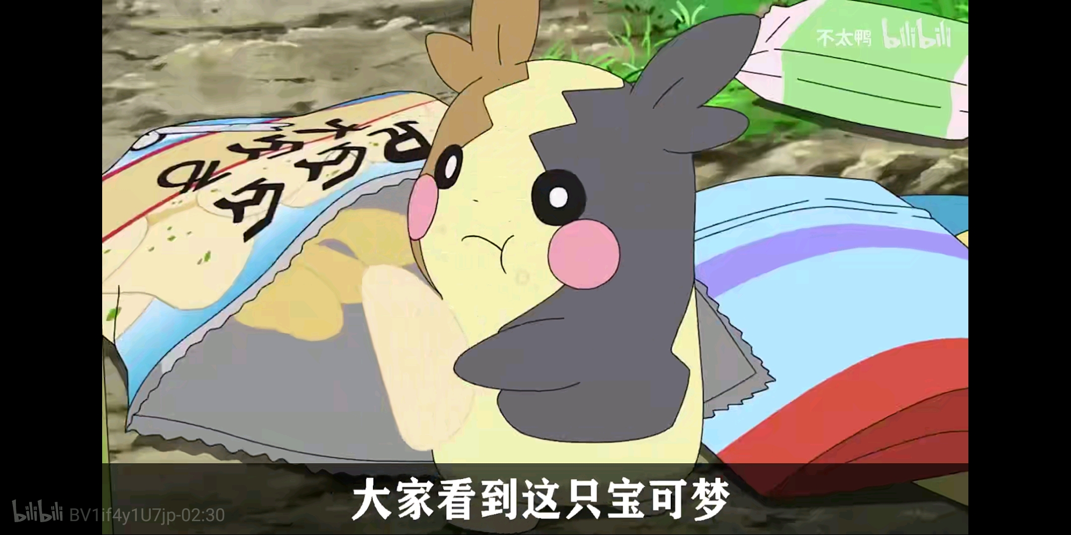 小豪的宝可梦,后宫大乱斗.