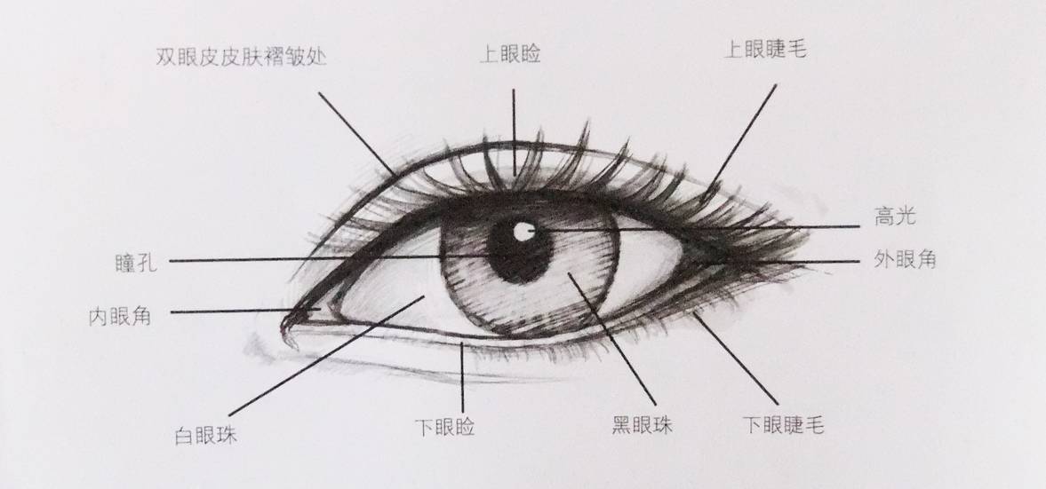 妈妈说看完后再也不怕画眼睛!