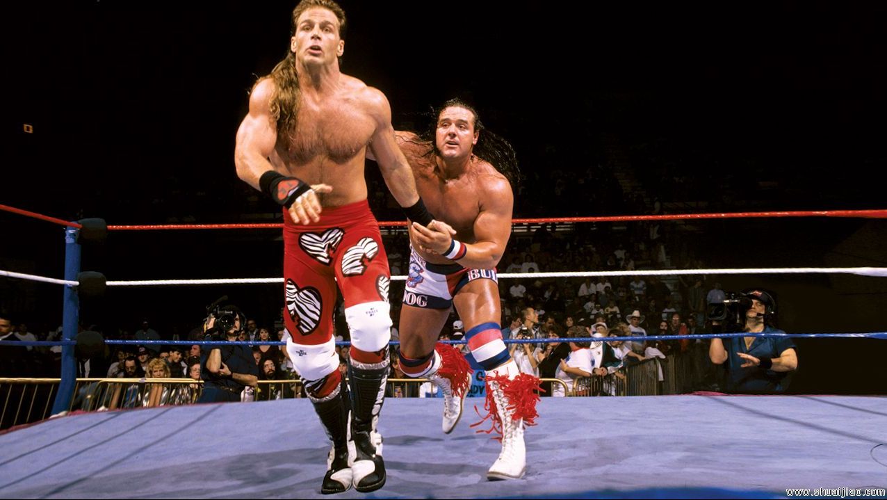 《The Shawn Michaels Story》Chapter 16 哔哩哔哩
