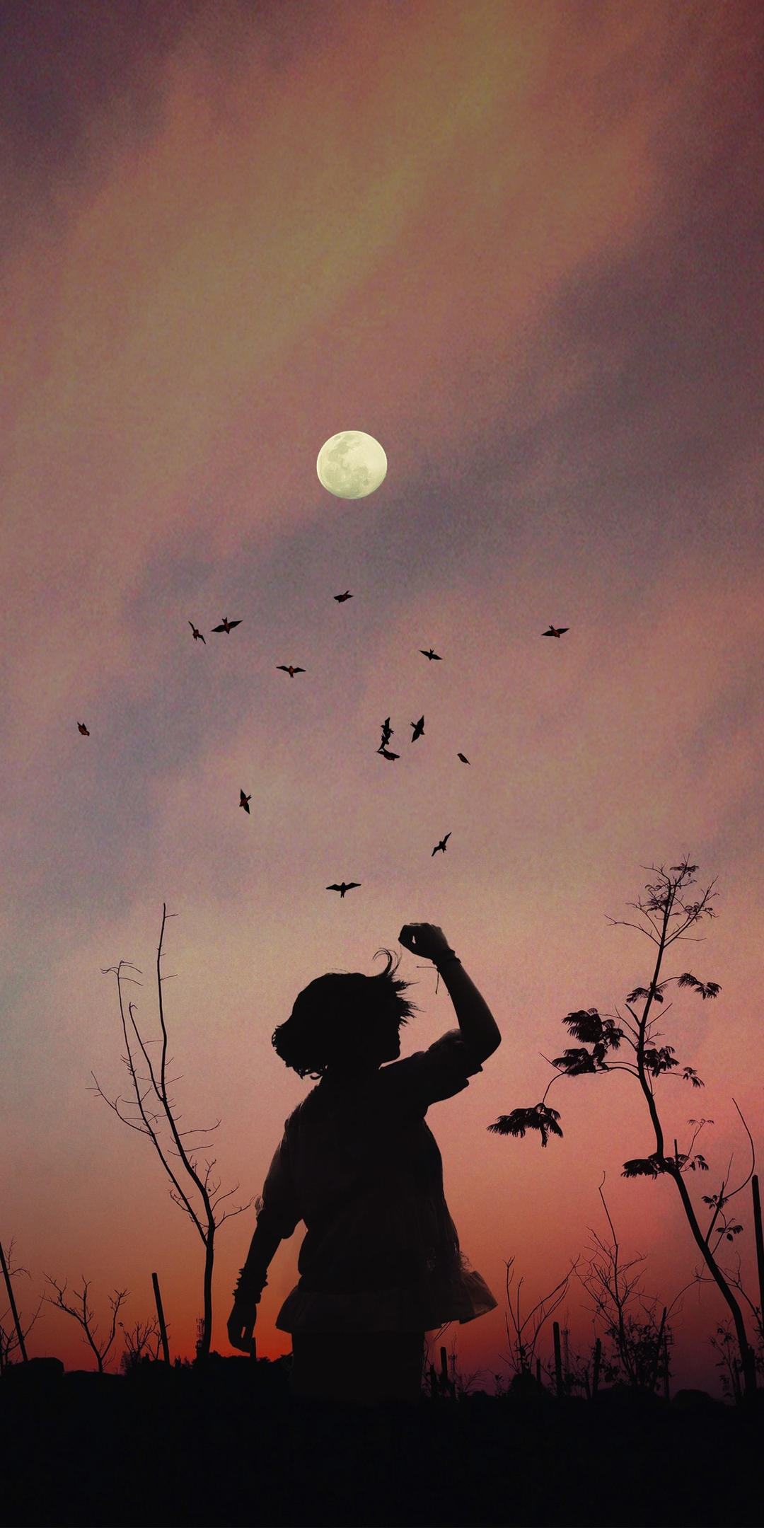 (治愈/致郁)推理悬疑大师东野圭吾笔下的白昼与黑夜