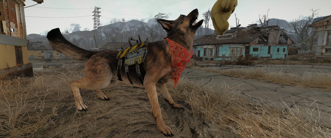 【辐射4】【流量党勿入】一些很怀念的图片