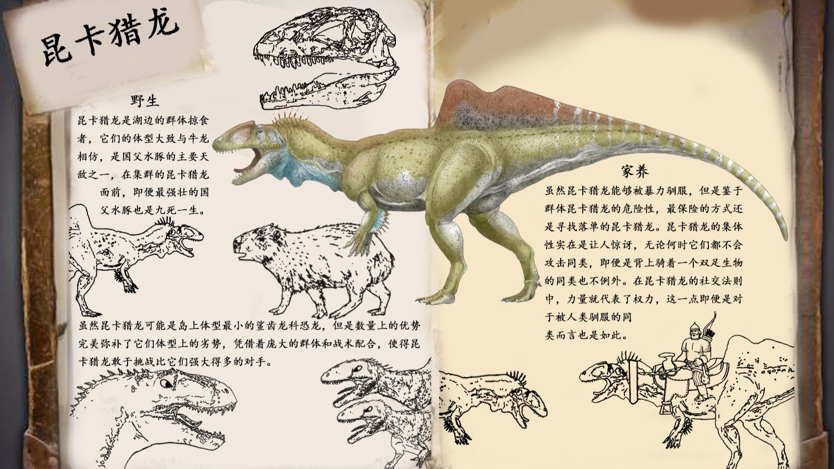 方舟自创生物 昆卡猎龙 哔哩哔哩