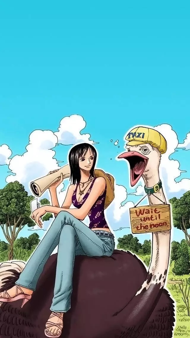 高清大图欣赏妮可罗宾