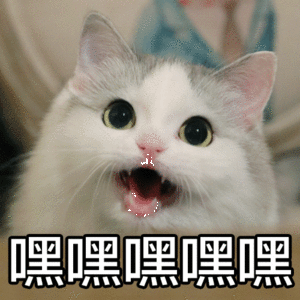 超可爱萌宠阿巴阿巴阿巴这也太可爱了吧