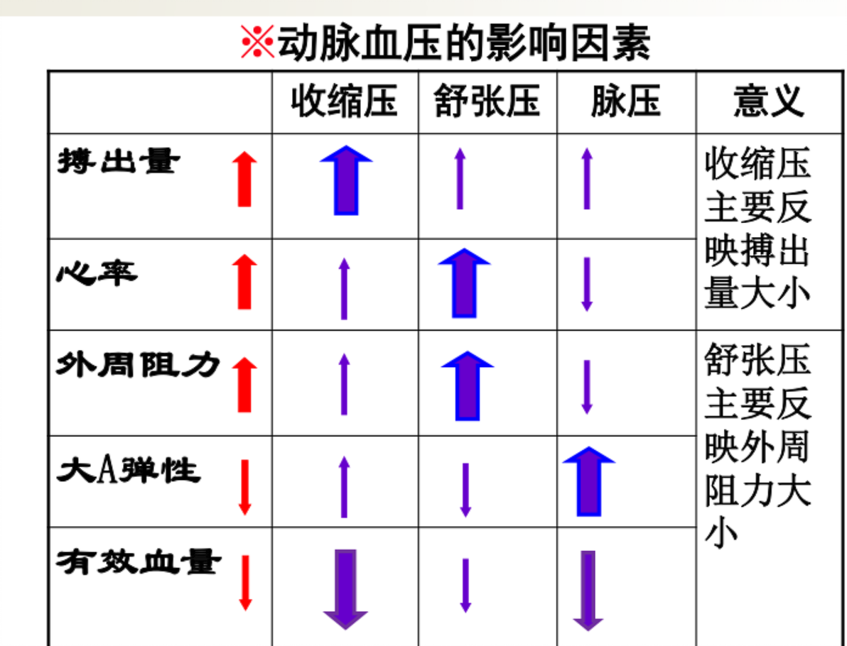 动脉血压的形成条件及影响因素 - 哔哩哔哩