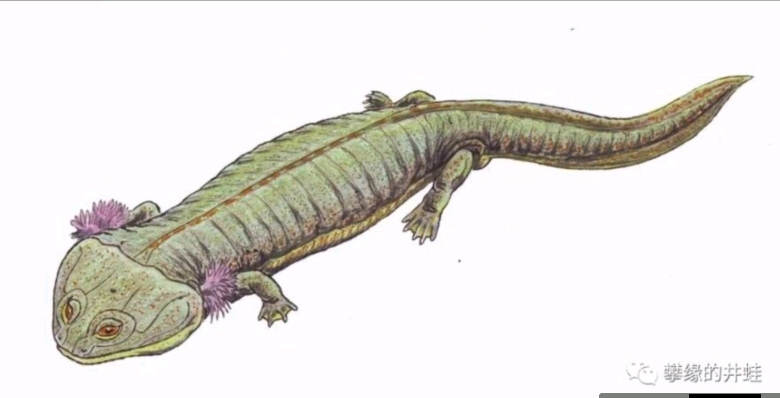 龙兽争霸外传1时代的更替达摩克里斯之剑下的异样光彩