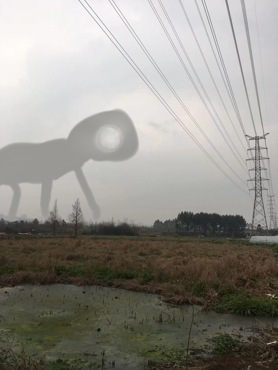 自制特雷弗亨德森生物大合集( 分类)