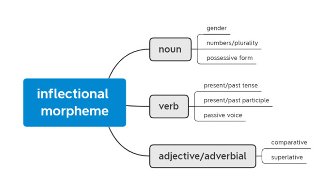 Morphonology - 哔哩哔哩