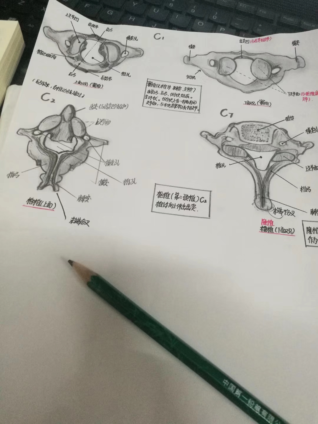 考研的的一天