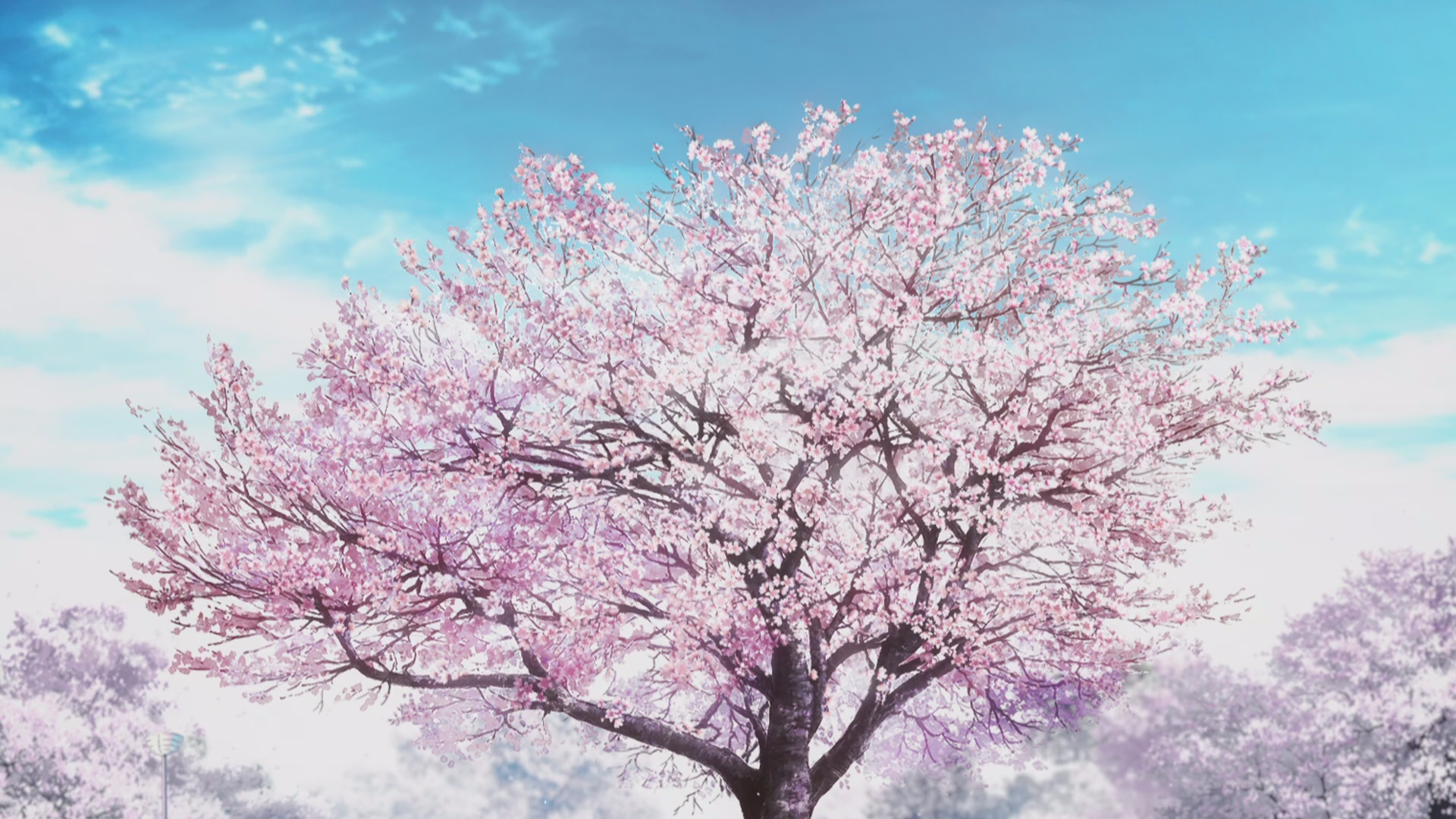 长梦永夜落樱翩然写在hf线第二章上映后的随感