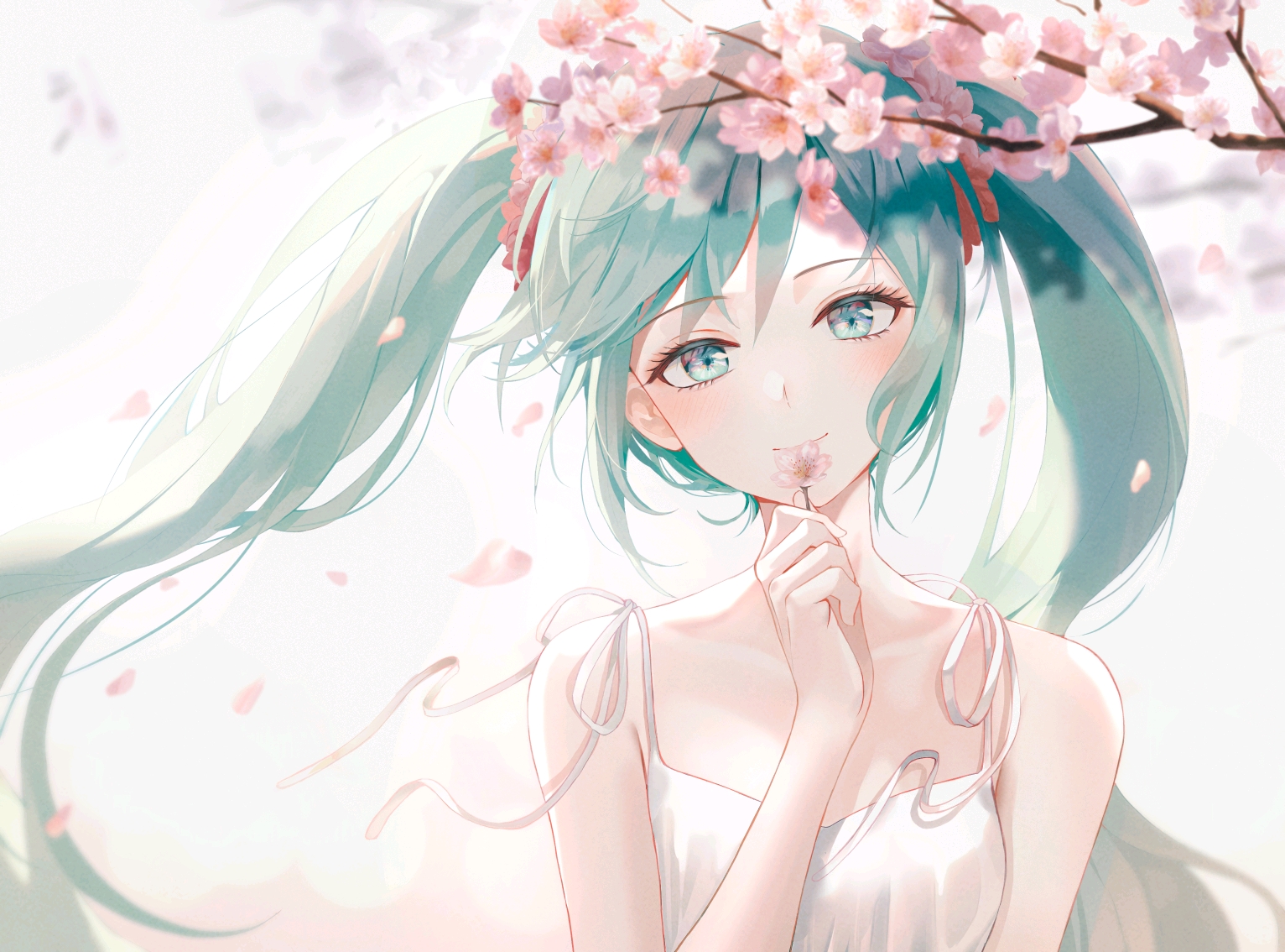 『初音ミク』Miku酱的骑士们看过来!——致最美好的Mikufans.①②⑦