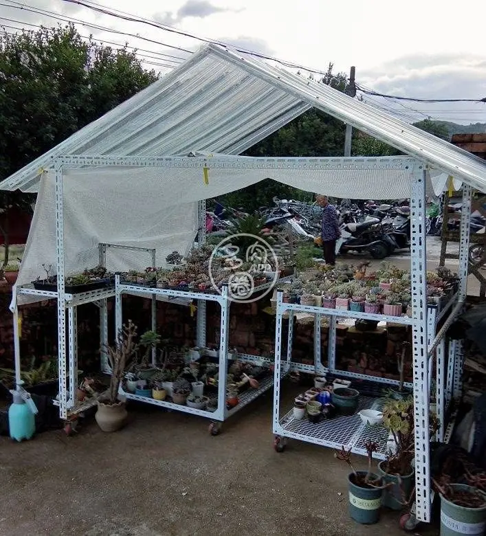 浅谈多肉植物夏型种 春秋型种 冬型种浇水 哔哩哔哩