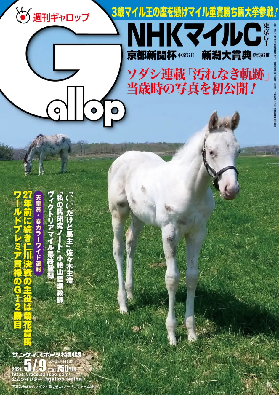 ソダシ的0岁照片将在週刊gallop ギャロップ 21年5月9日号上初次公开 哔哩哔哩