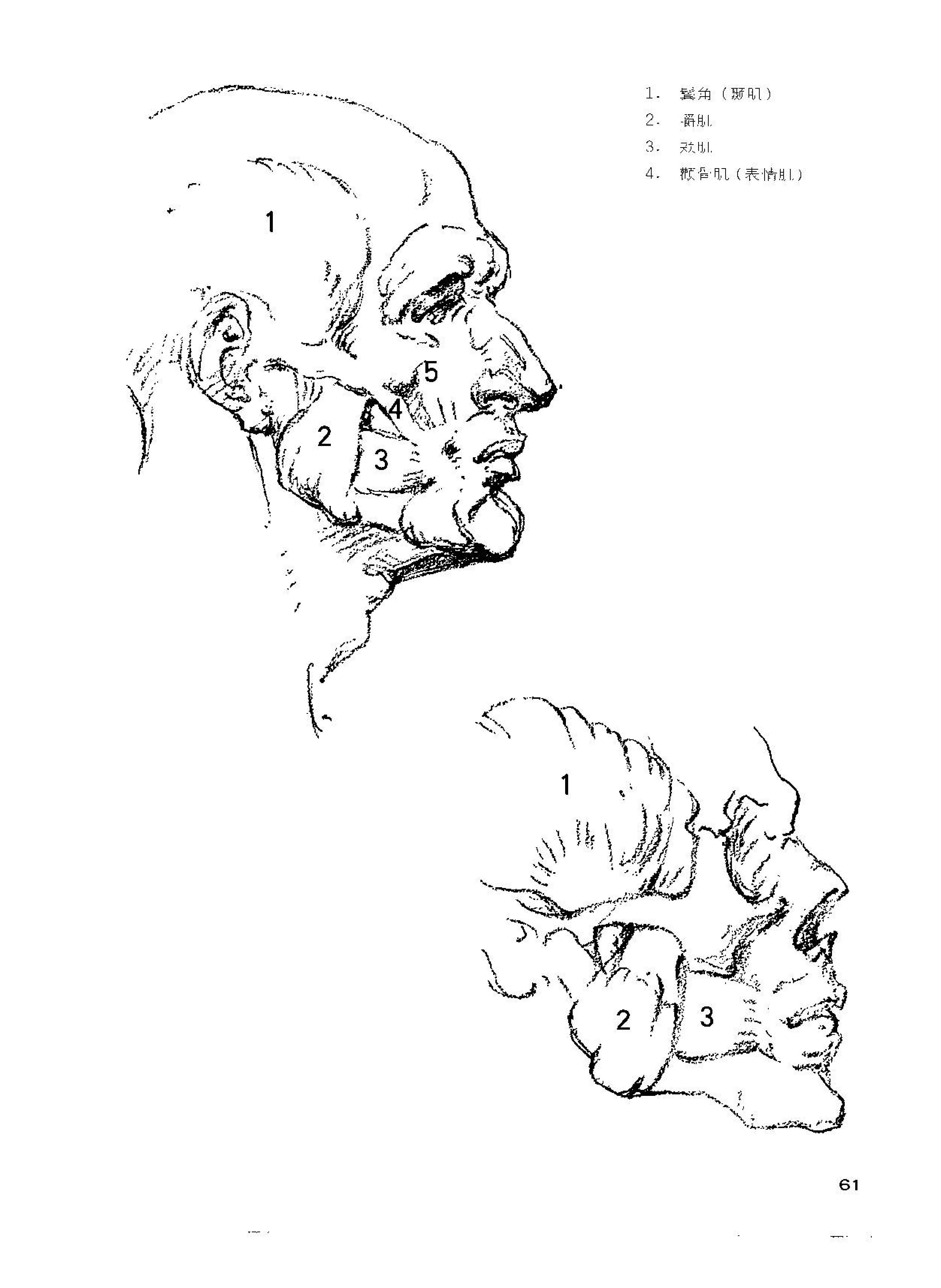 (美)乔治.伯里曼.中文.清晰扫描版(1)