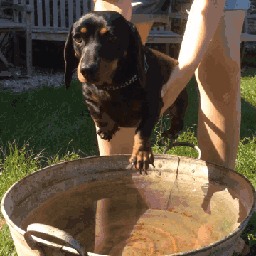 360_360gif 动态图 动图