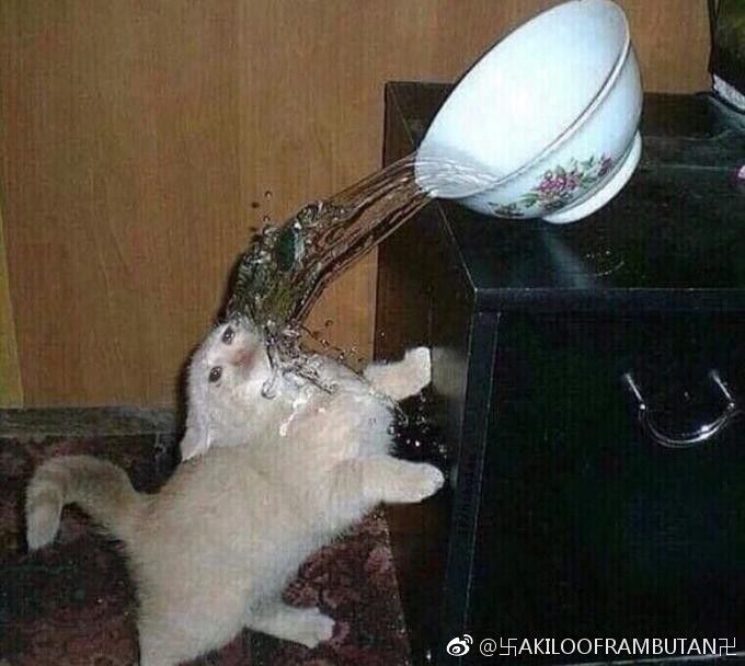 《说梦》第一卷 “醒醒，这是梦！”“不！这不是！快来救我”