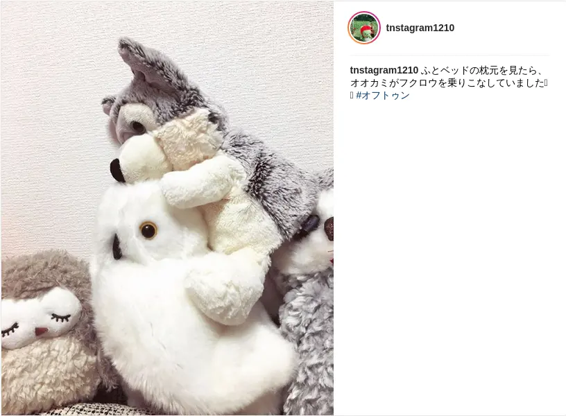 M S成员 推特 Lineblog Instagram自动转推bot 第二次重构完成 哔哩哔哩