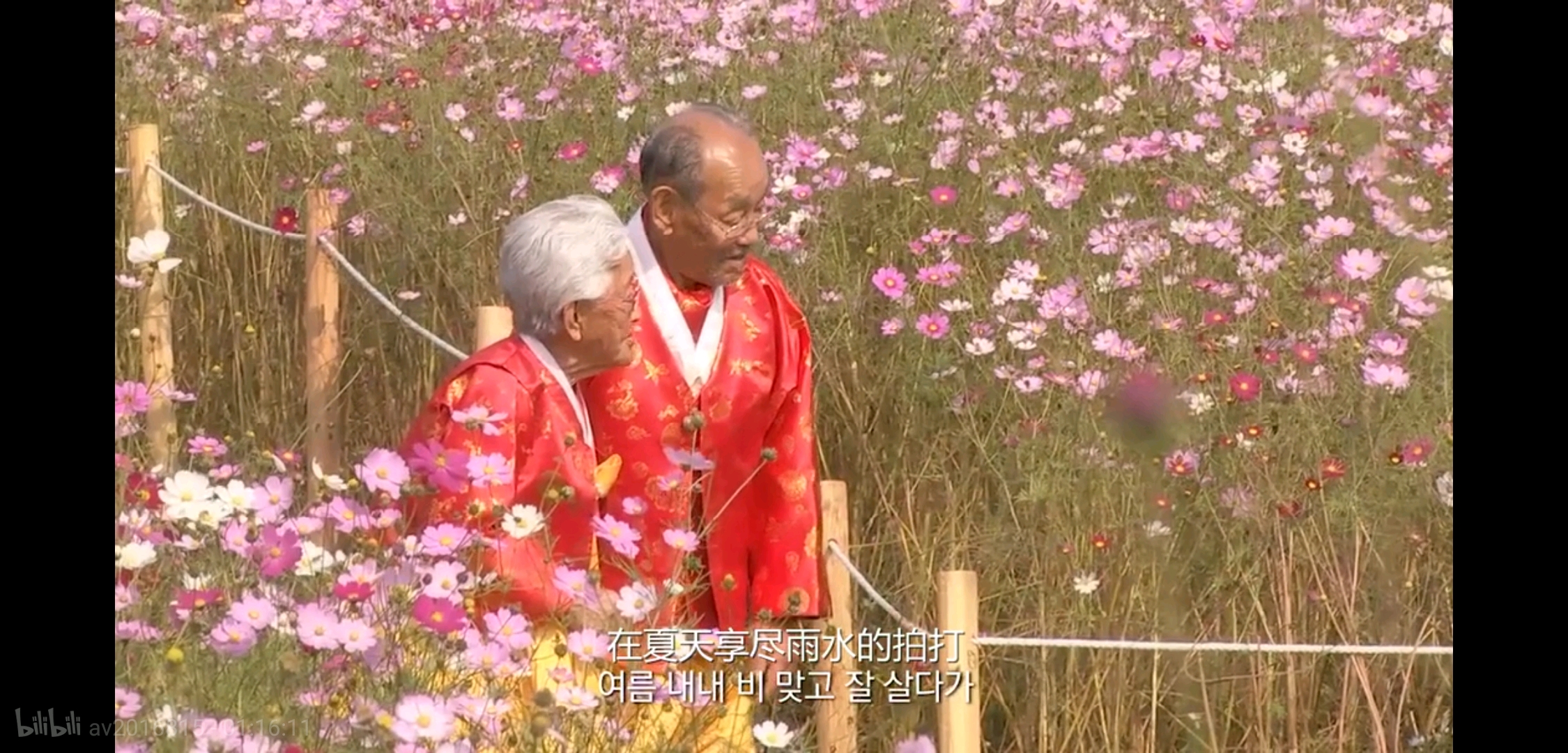 不敢二刷的电影--《亲爱的，不要跨过那条江》