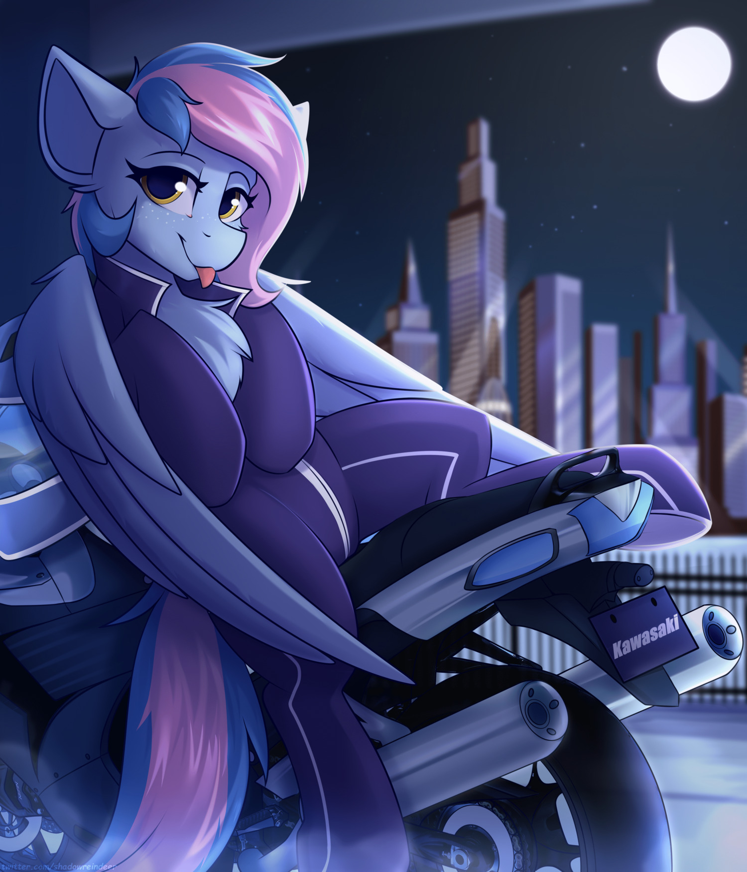 每日小马图推荐55