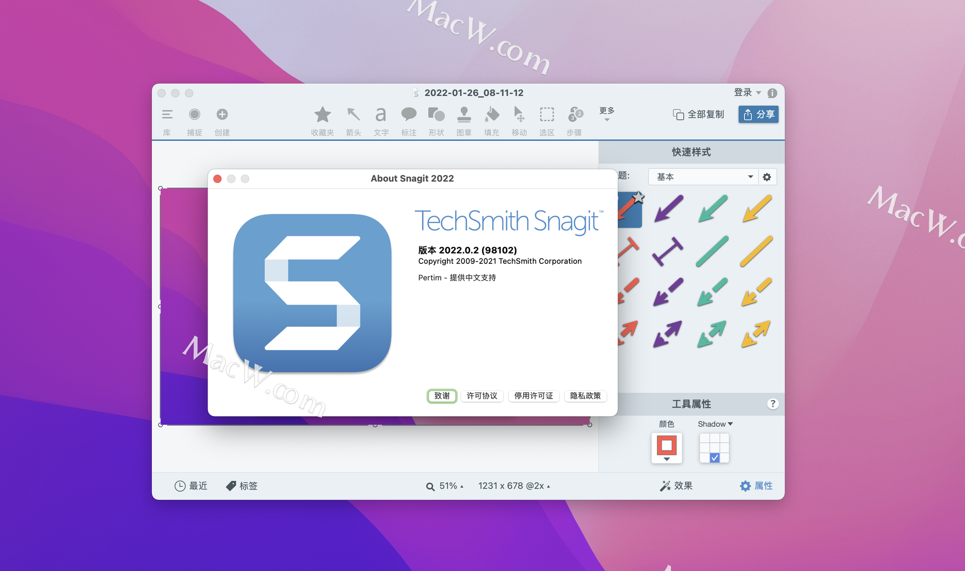 for mac download TechSmith SnagIt 2024.0.0.265