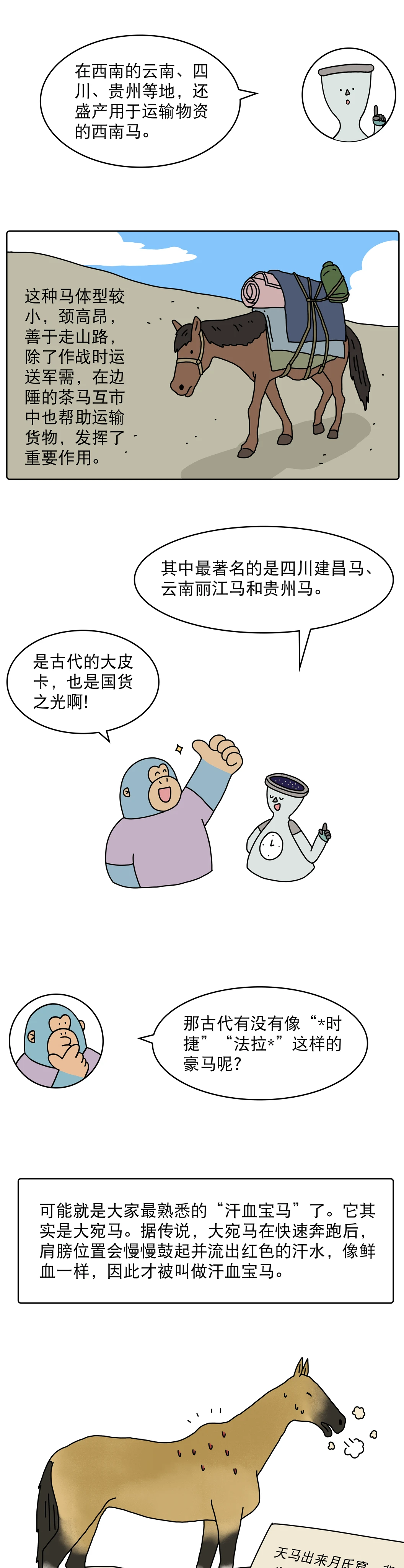 汗血宝马是不是古代的豪车3