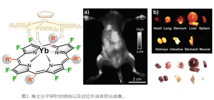 发光区间处于9001100nm的镱卟啉分子探针水溶性