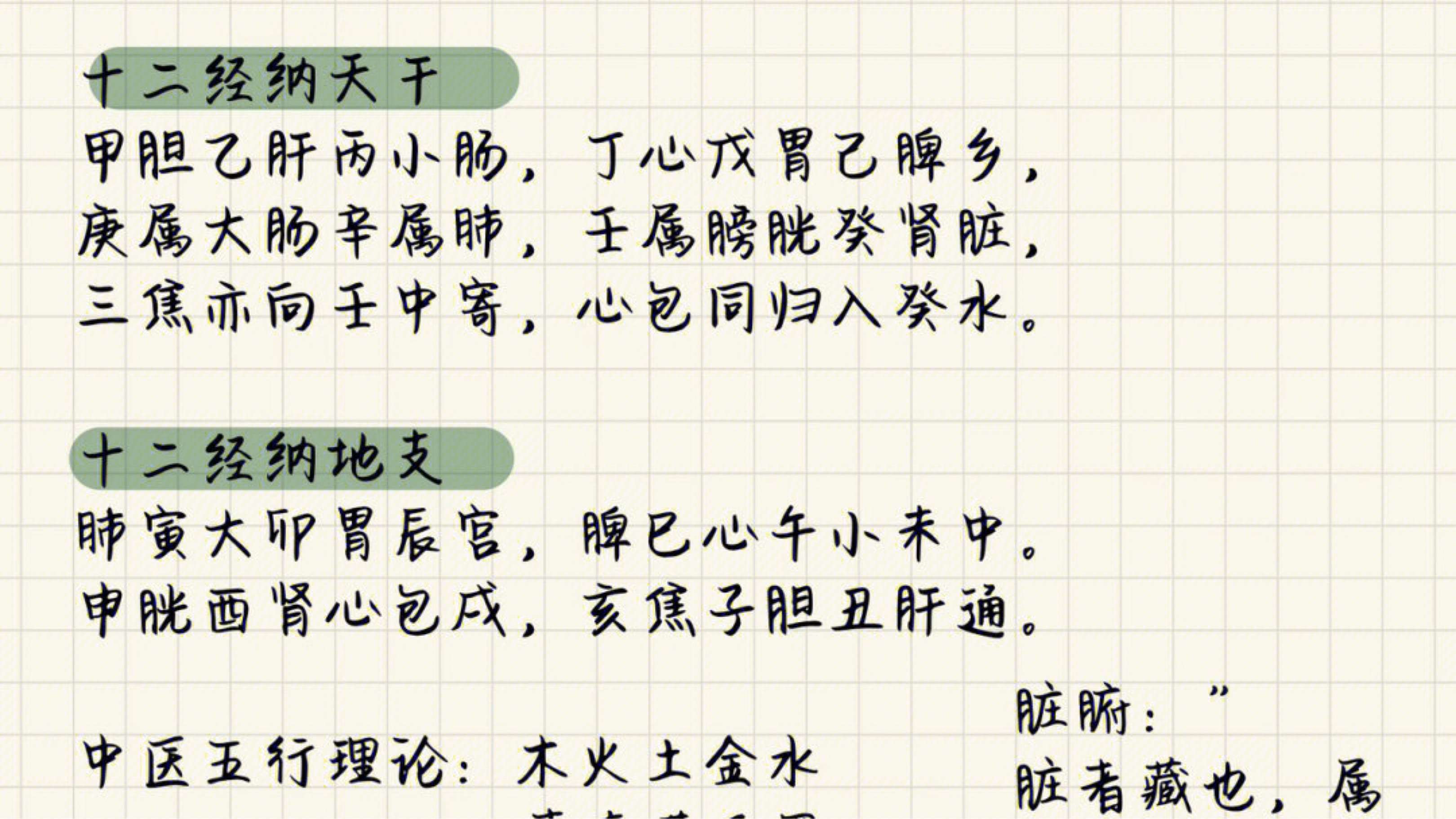倪师㊙️人纪,针灸大成笔记2 - 哔哩哔哩