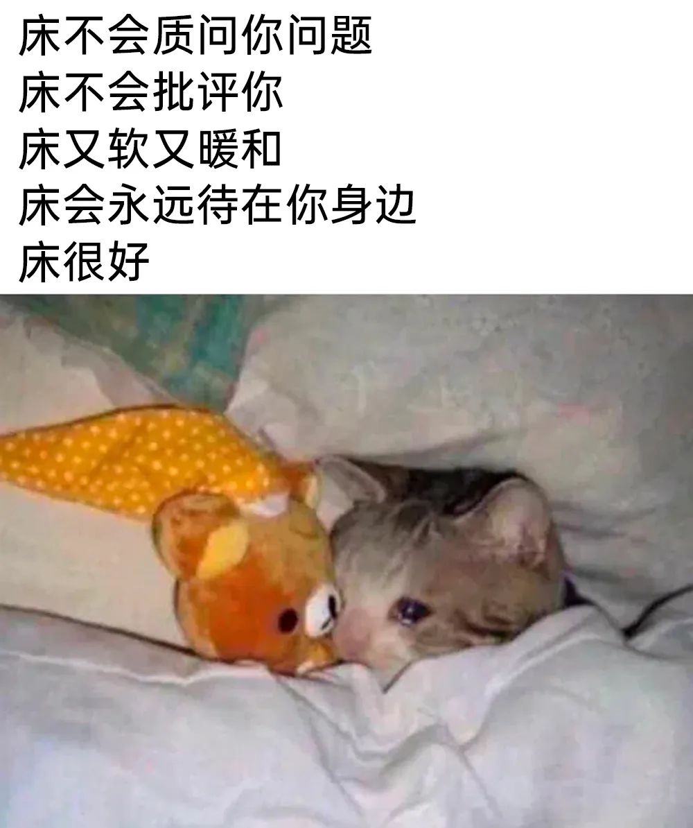 meme梗图：床不会批评你 床很好 - 哔哩哔哩
