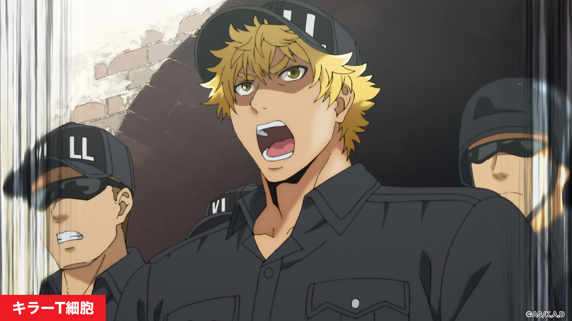 工作细胞官方决定无偿提供相关素材供医疗与教育机构使用